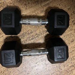 20 Lb Weights