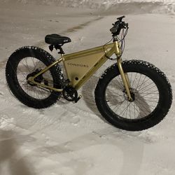 Electric bike