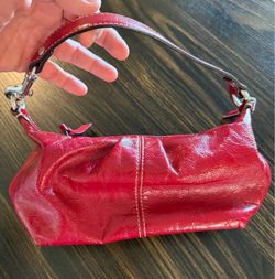 Small coach purse