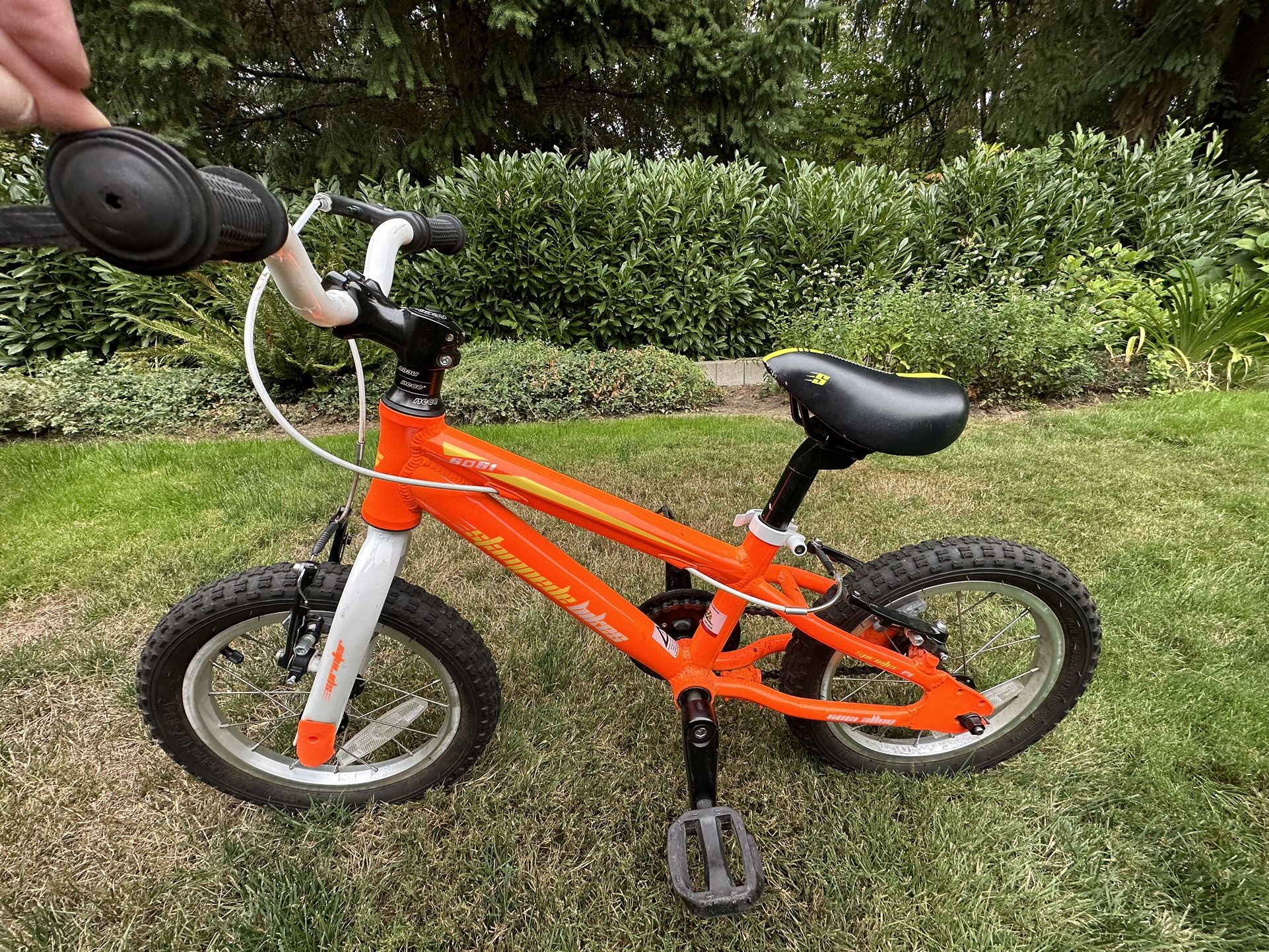Kids Bike - Stampede Sprinter 14