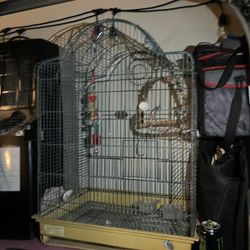 Bird Cage