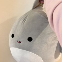Shark Squishmellow