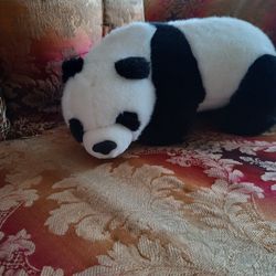 Pandita