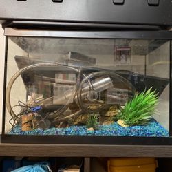 Fish Tank