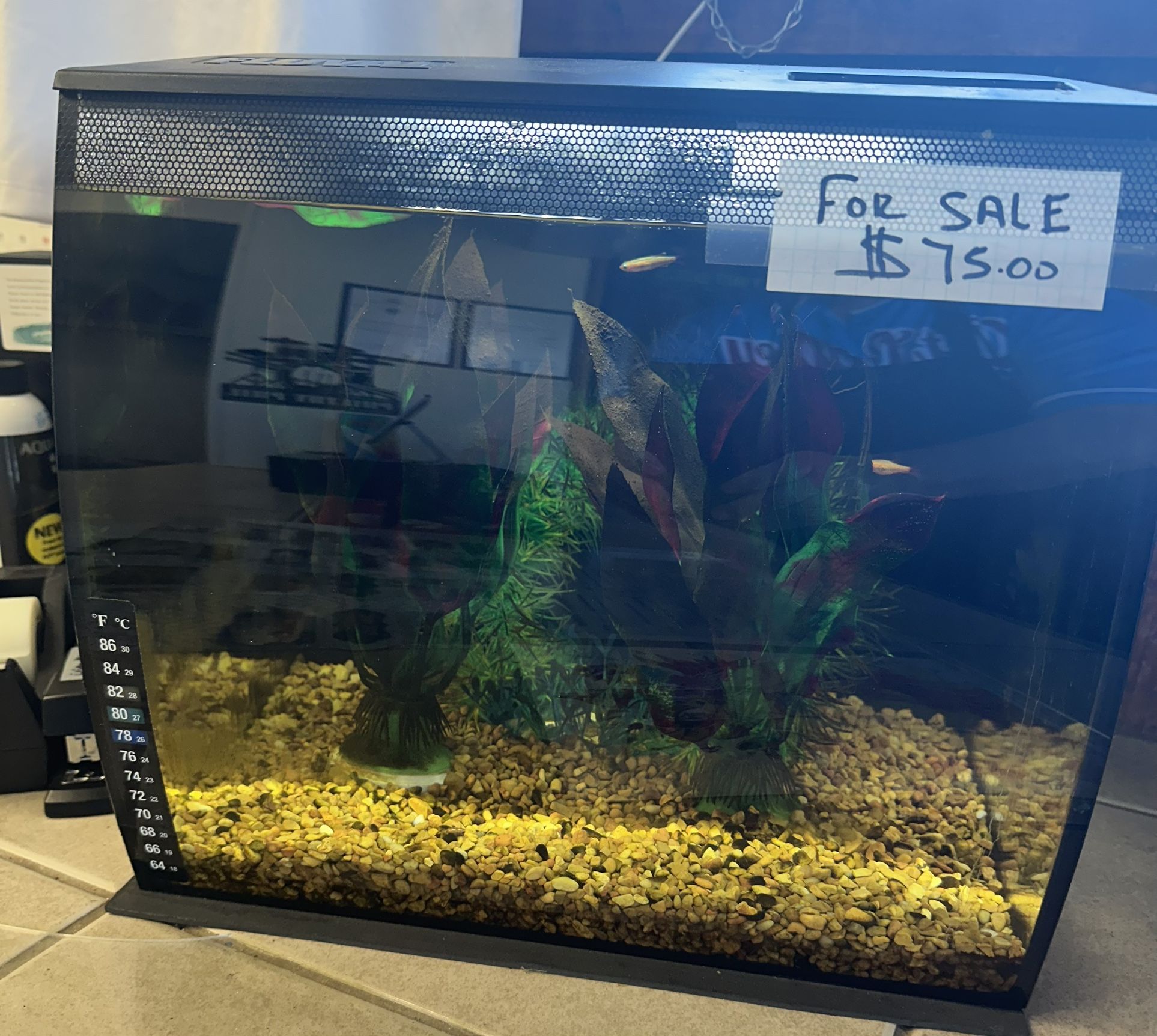 Fluval 15 Gallon All In One Aquarium