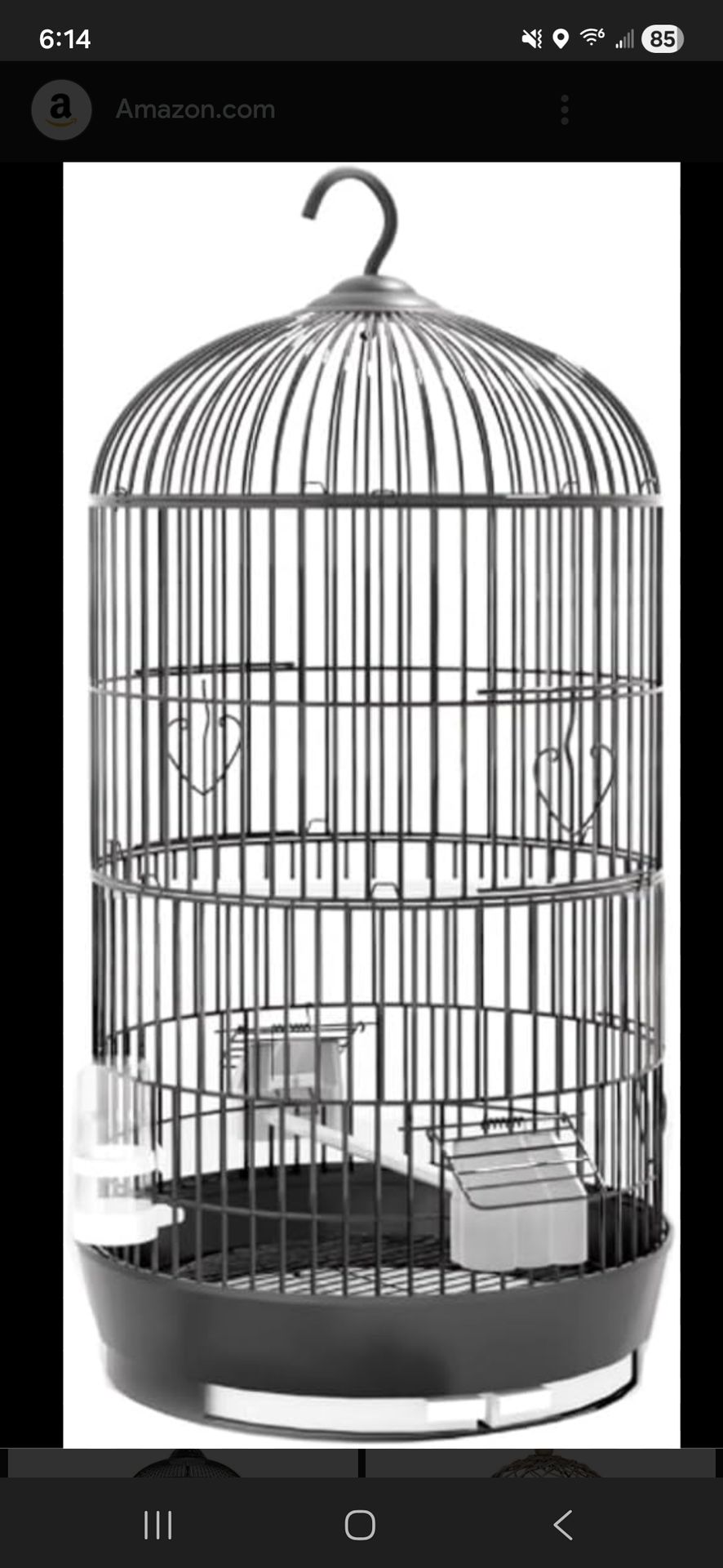 Looking for adopting small birds with cage