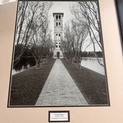 Furman Picture