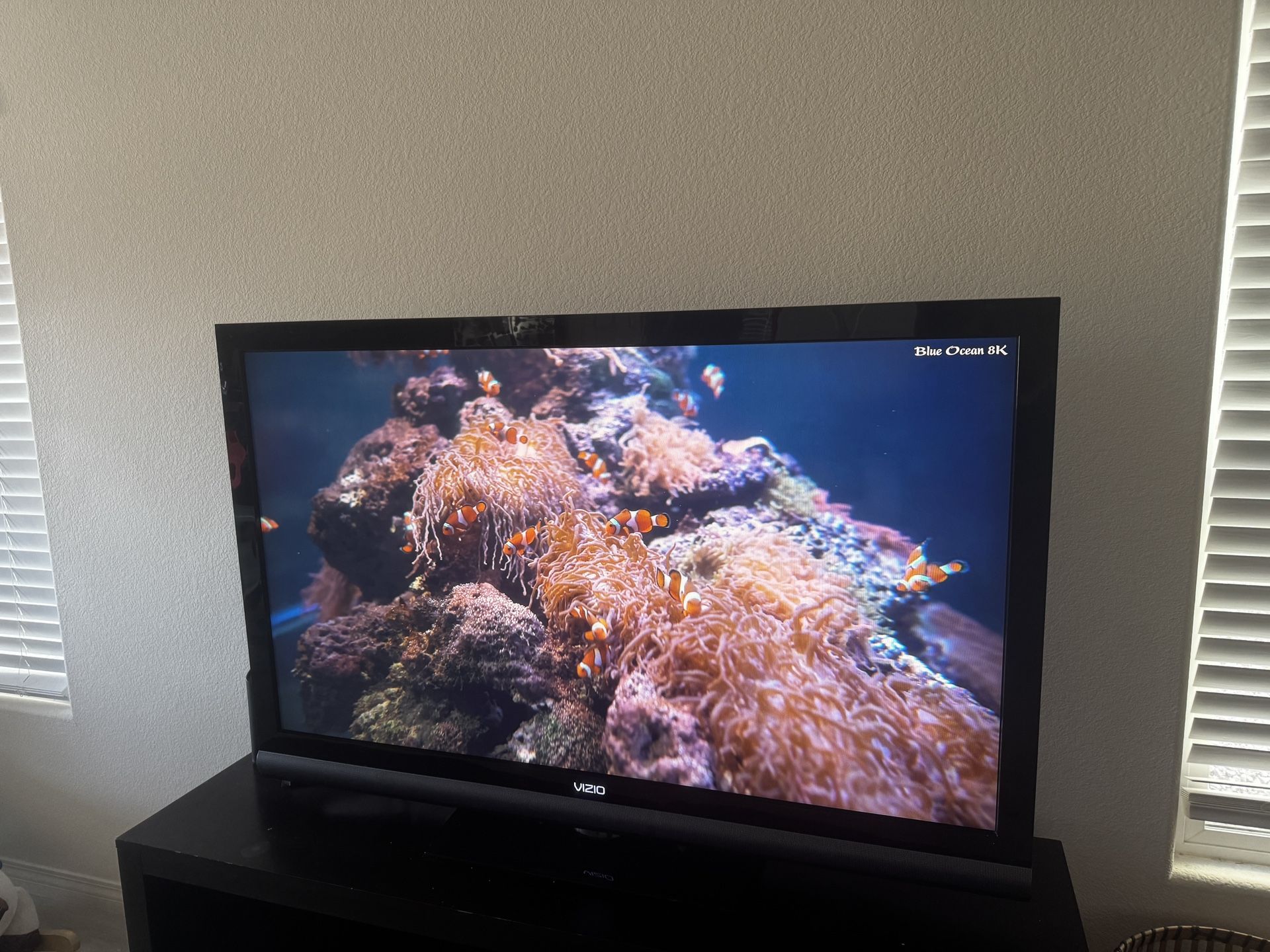 Vizio 55” - Older Heavy Model $50 OBO