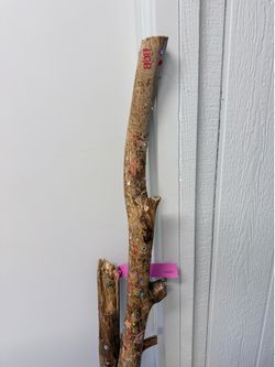 Magic Walking Stick