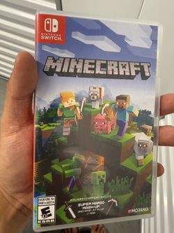 Minecraft in switch 1