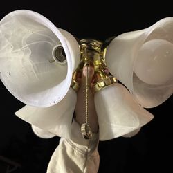 Ceiling Light for Sale