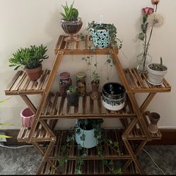 Plant Stand 