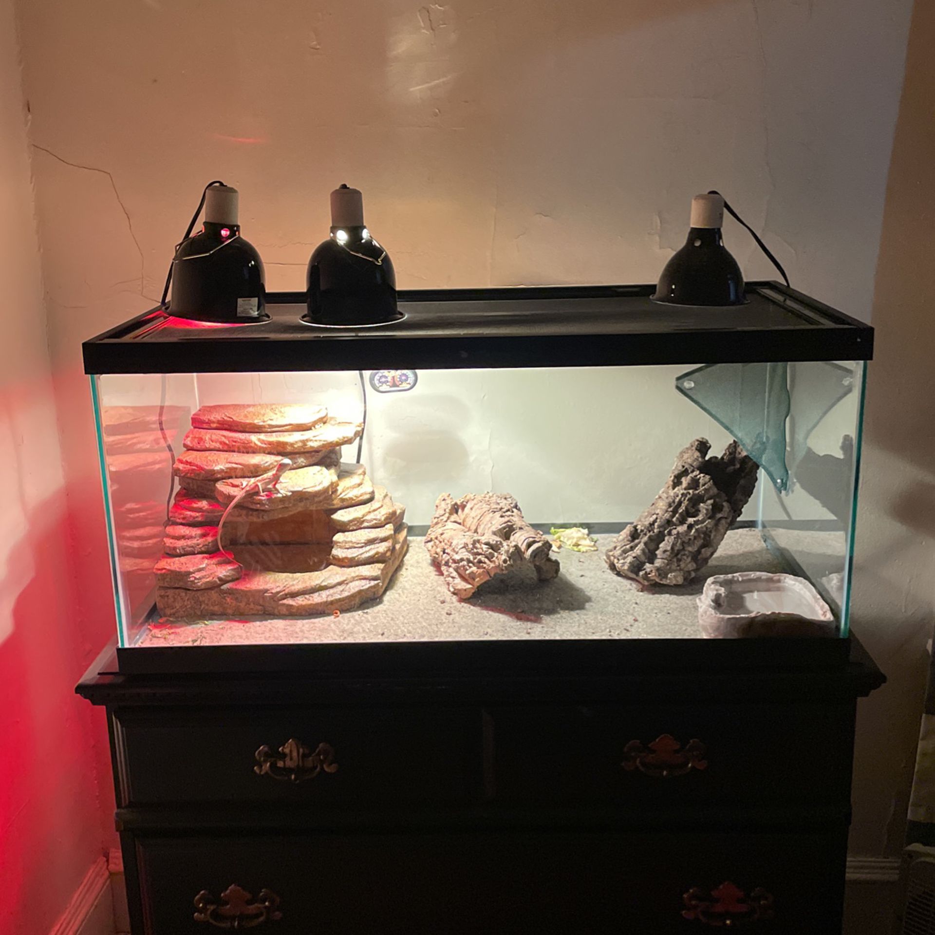 40 Gallon Tank + Set Up Accessories For A Bearded Dragon