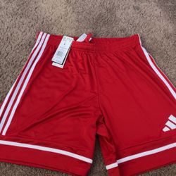 Large Adidas Shorts Unisex