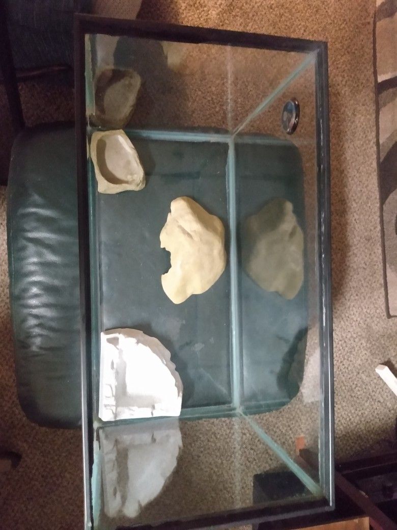 Fish Tank