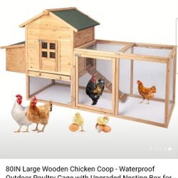 Chicken Coop