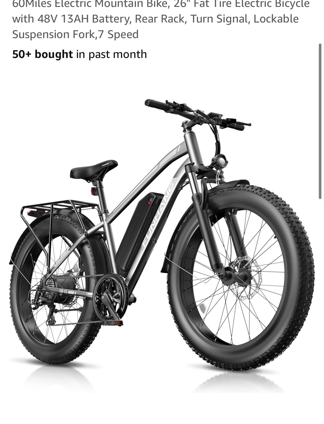 Funhang Electric Bike