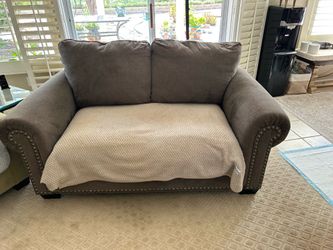 Free Loveseat with Damaged Cushions