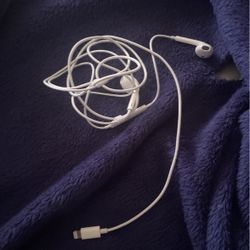 iPhone Headphones 