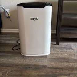 Air purifier 