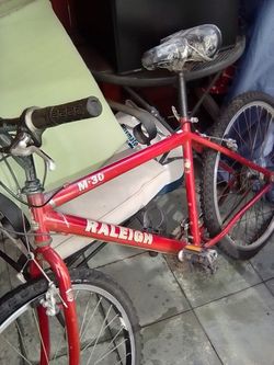 Raleigh Bike 