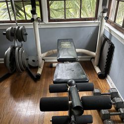 Weight bench, plates, dumbbells