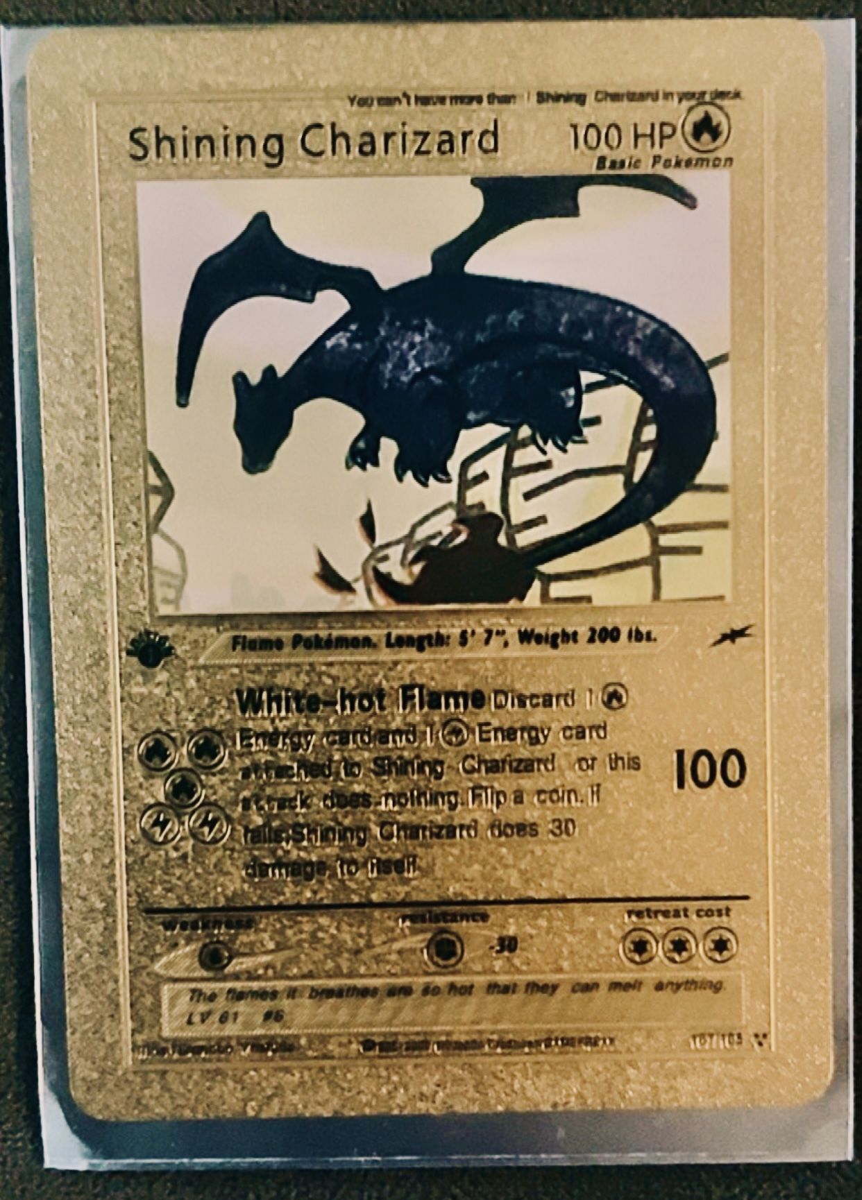 Shining Charizard & Charizard