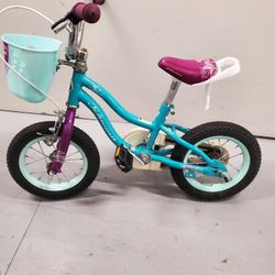 Shwinn Girls Bicycle 