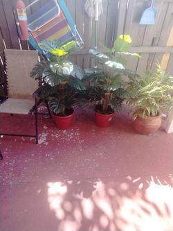 Nice Artificial Plants 