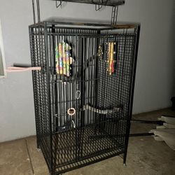 Steel Bird Cage