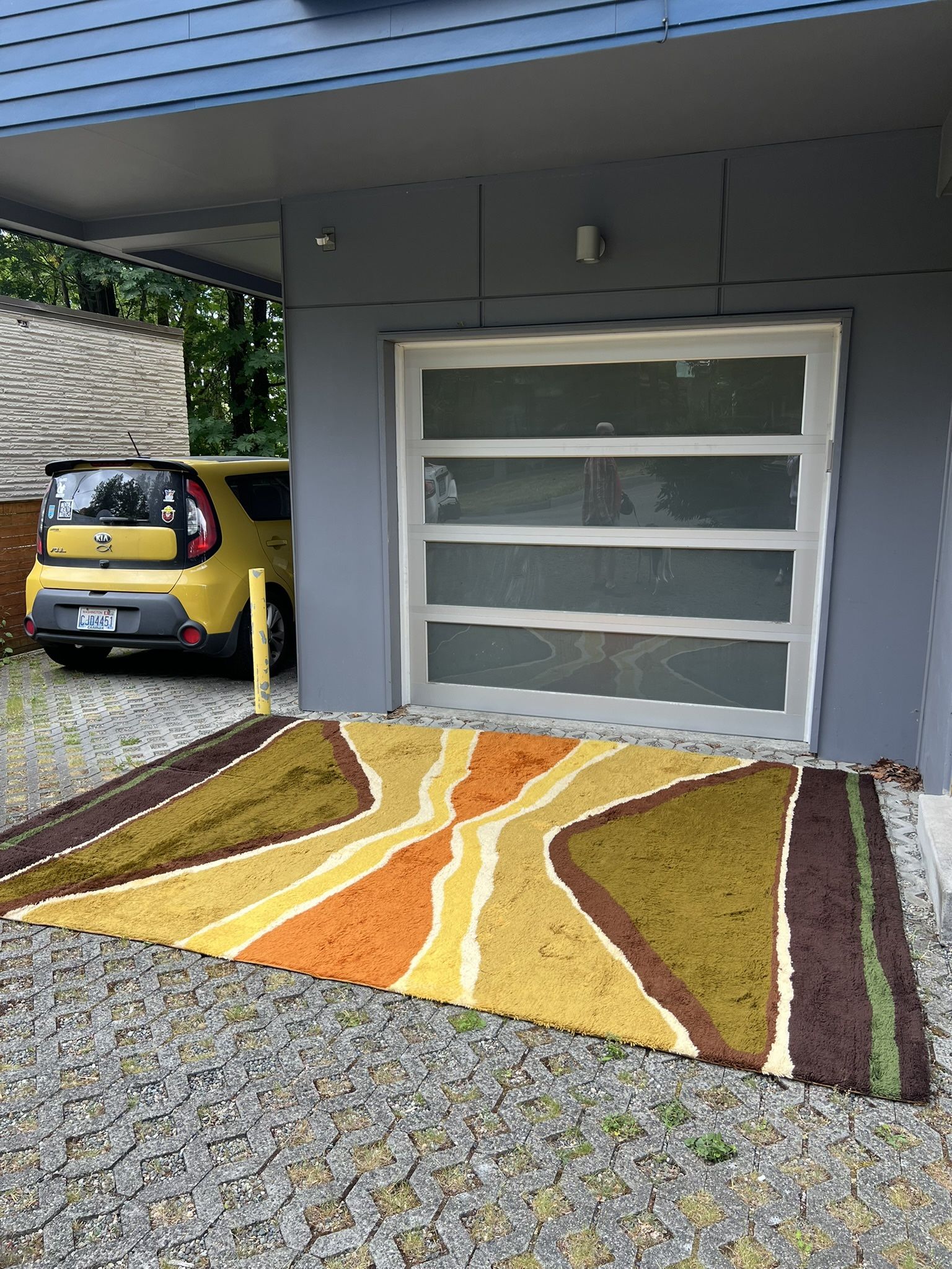 Large Vintage Mid Century Ray Rug