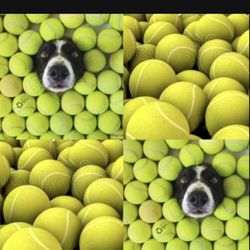 50 Balls For $20