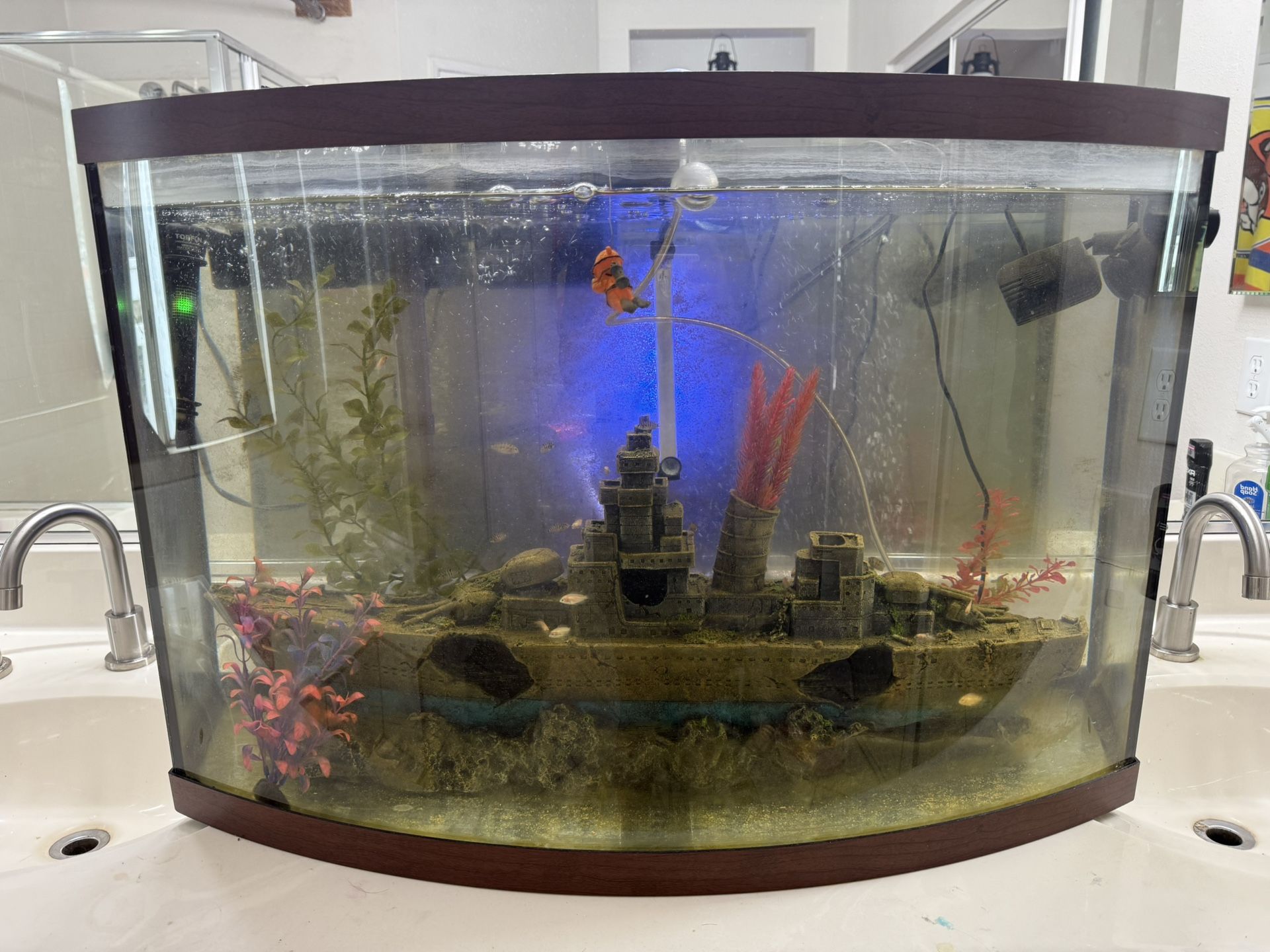 Fish Tank And More