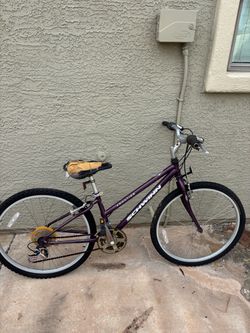 Schwinn Frontier Mountain Bike