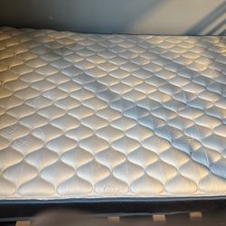 Full Mattresses (Had Only 1 Year)