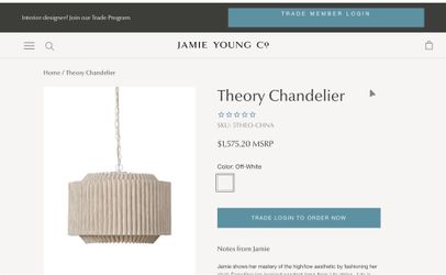 theory for Jamie Young Theory 4