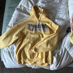 disneyland hoodie