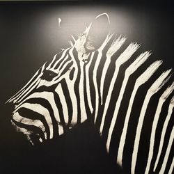 Zebra canvas art (large)
