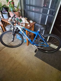 Schwinn 7 speed bike