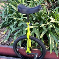 20 Inch Torker Unicycle 