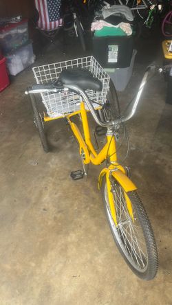 Bicicleta