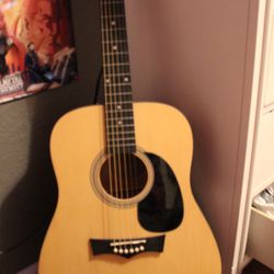 Peavey Acoustic Guitar
