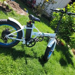 Ecotric Electric Bike 500w 