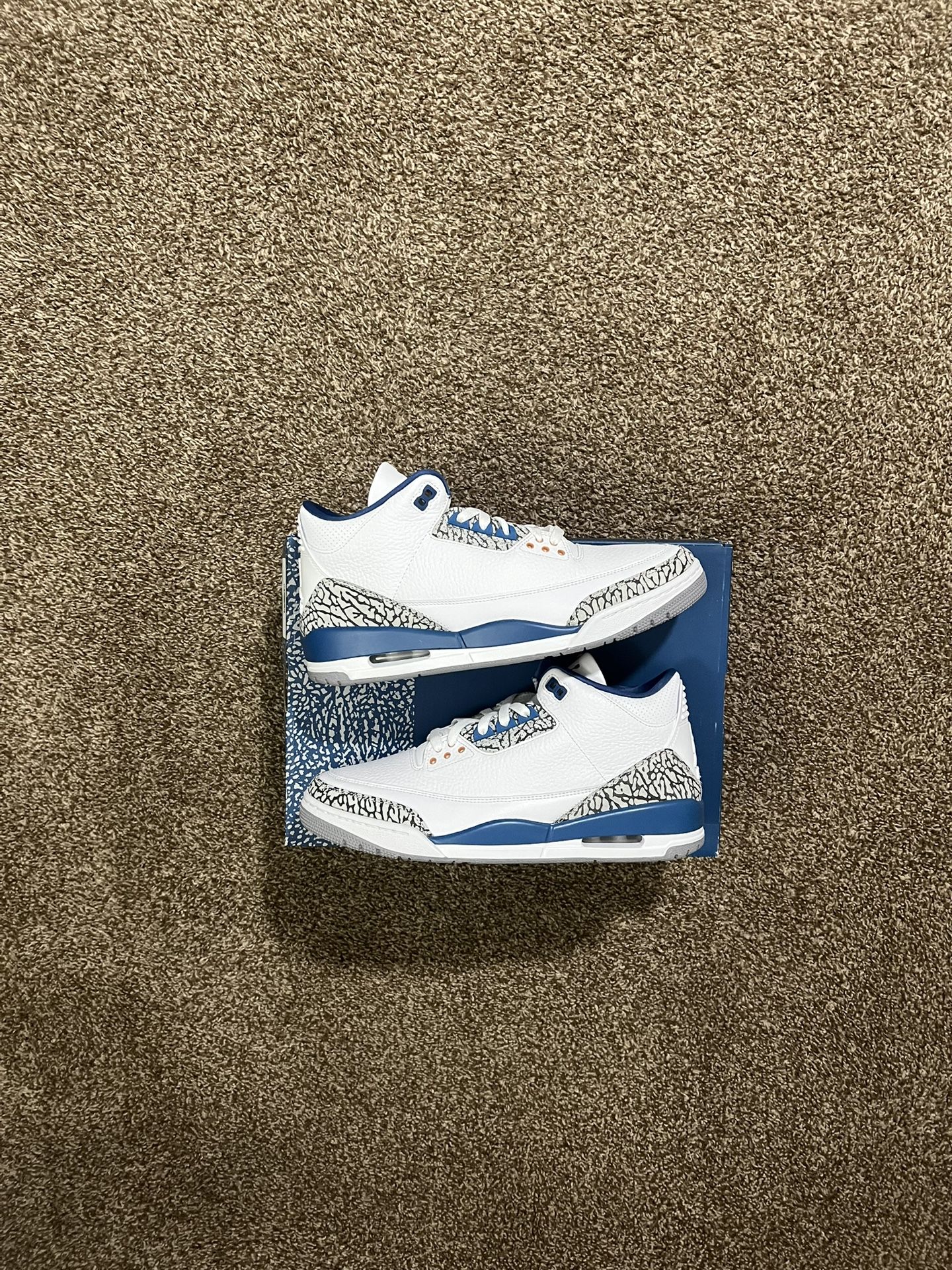 Jordan 3 Wizards Size 11.5