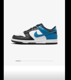 Nike Dunks - Big Kids 6.5 or Womens 8