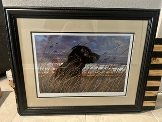 Black Lab w/ Ducks Flying