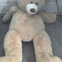 Costco Bear