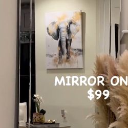 Floor Mirror (was $100)