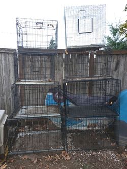 8 cages  diferents sizes 8 jaulas diferentes medidas