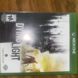 Dying Light Video Game 